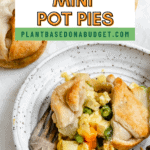 pin for Vegan Mini Pot Pie