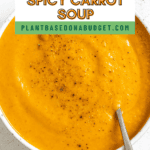 Pin for Spicy Carrot Soup.