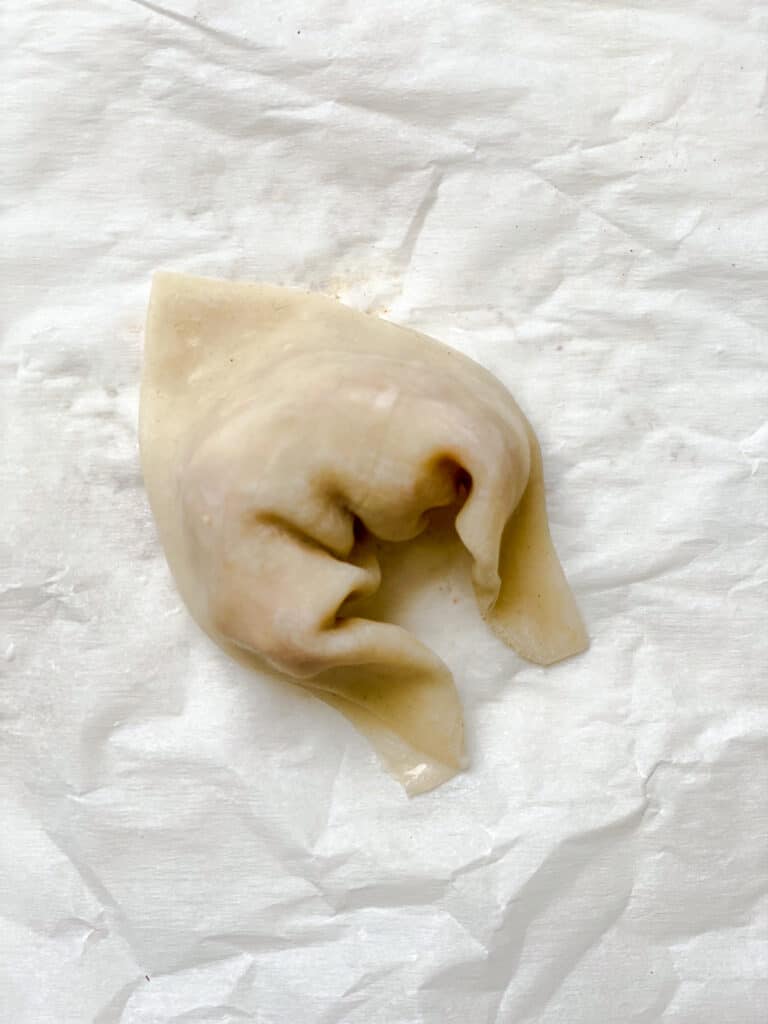 process shot of forming wontons against white background