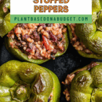 Pin for Southwest Vegan Stuffed Peppers.