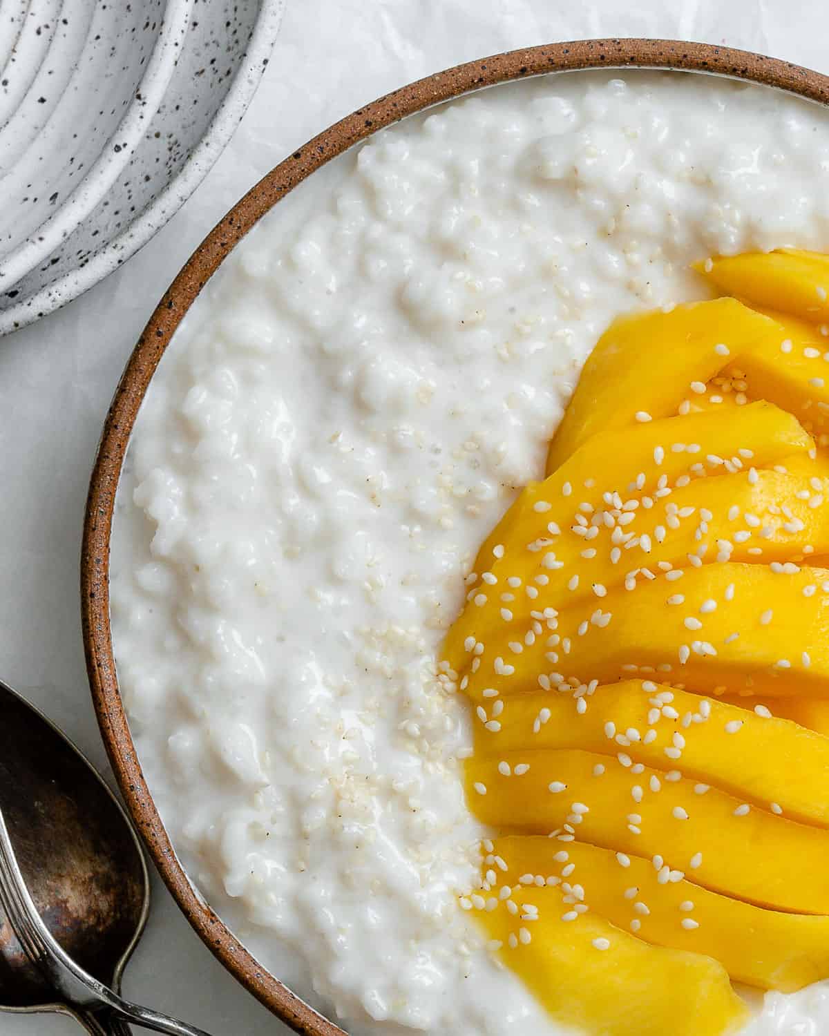 completed Thai Mango Sticky Rice against a white surface