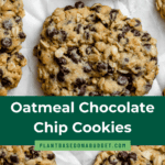 pin for Vegan Oatmeal Chocolate Chip Cookies