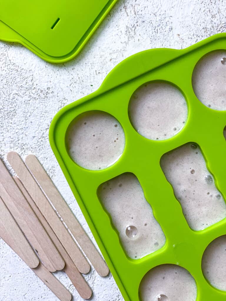 popsicle molds and sticks a،nst a white surface