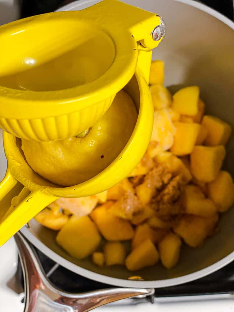 process shot of juicing lemon into pot of mangos