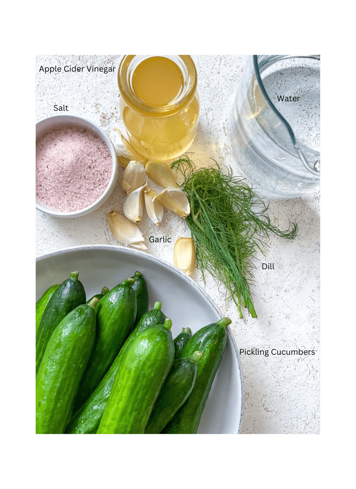 ingredients for Quick Easy Refrigerator Pickles measured out against a white surface