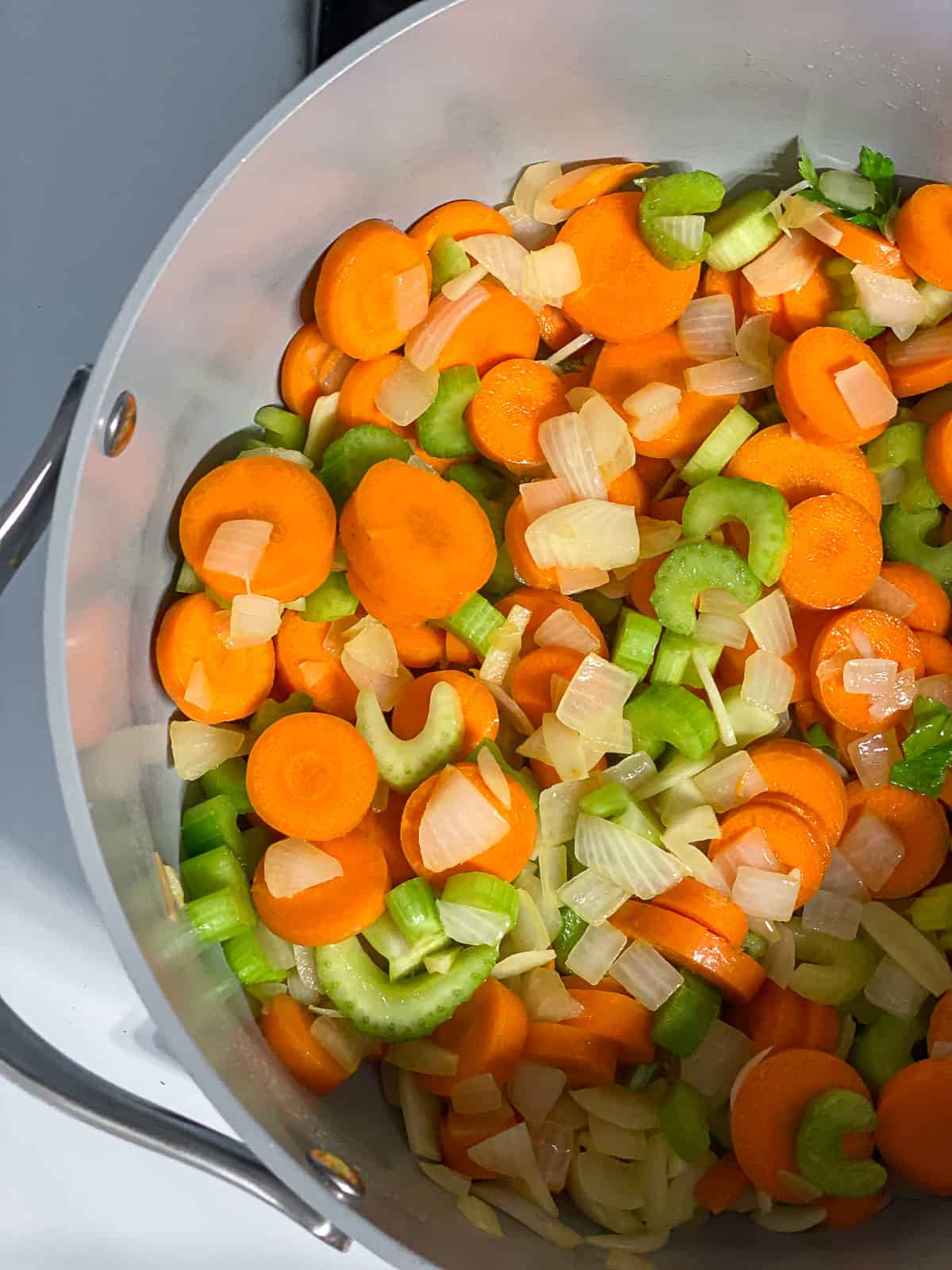 Easy Garbanzo Bean Soup [Stove, Instant Pot, Crockpot] PlantBased on