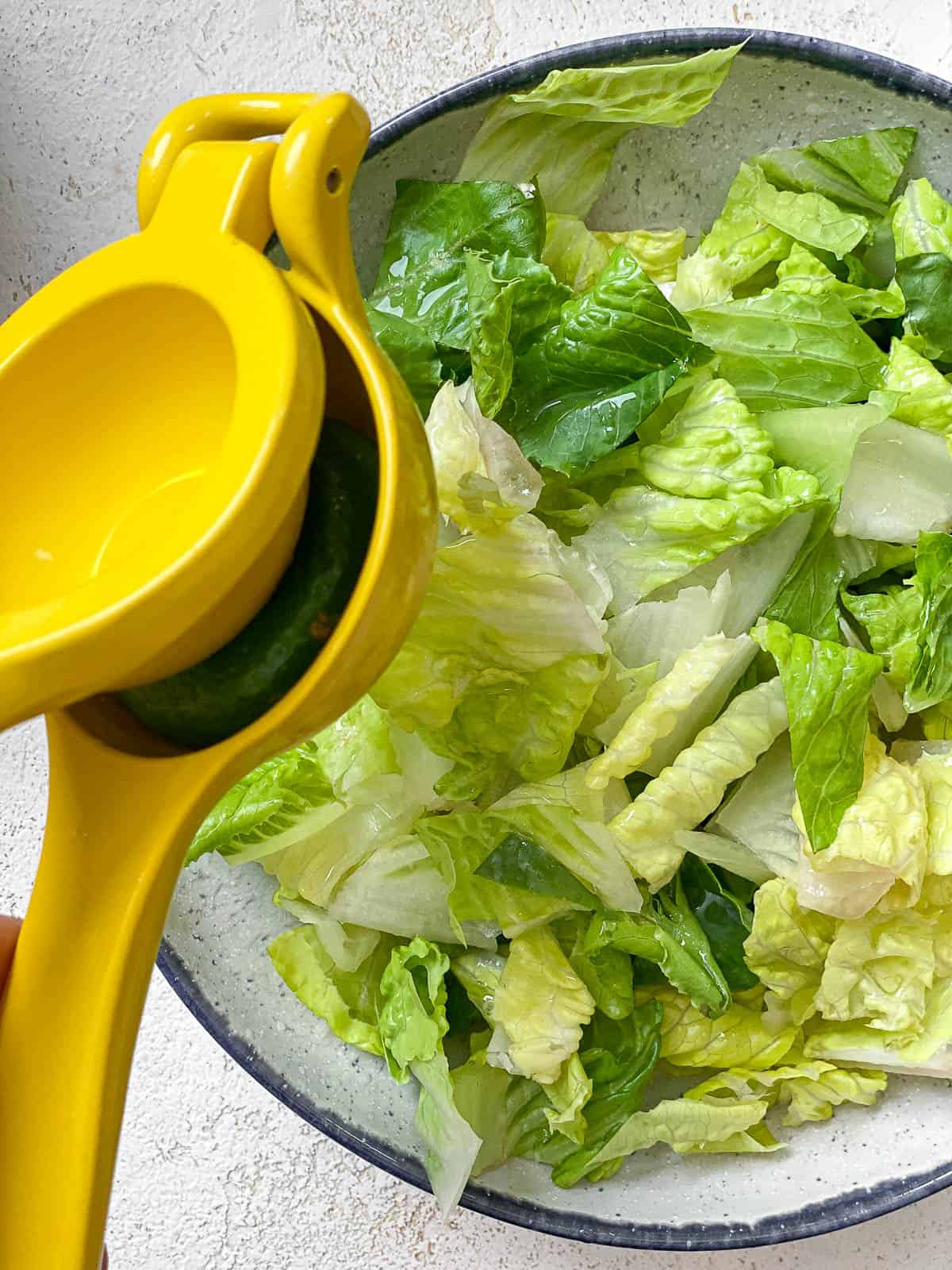 A white bowl with a blue rim filled with chopped romaine. There's a yellow citrus squeezer squeezing lime into the bowl.