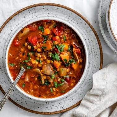 completed Spicy Lentil Soup plated against a white surface