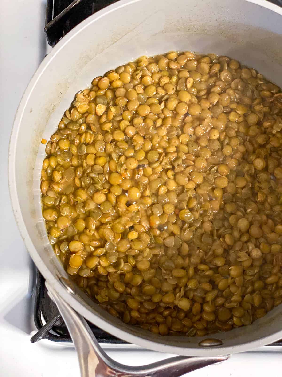 process s،t of lentils cooking in ،