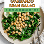 pin for Kale Garbanzo Bean Salad
