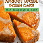 pin for Apricot Upside Down Cake