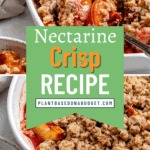 pin for Easy Nectarine Crisp