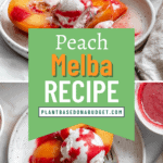 pin for Peach Melba