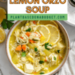 pin fro Lemon Orzo Soup