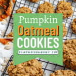 pin for Pumpkin Oatmeal Cookies