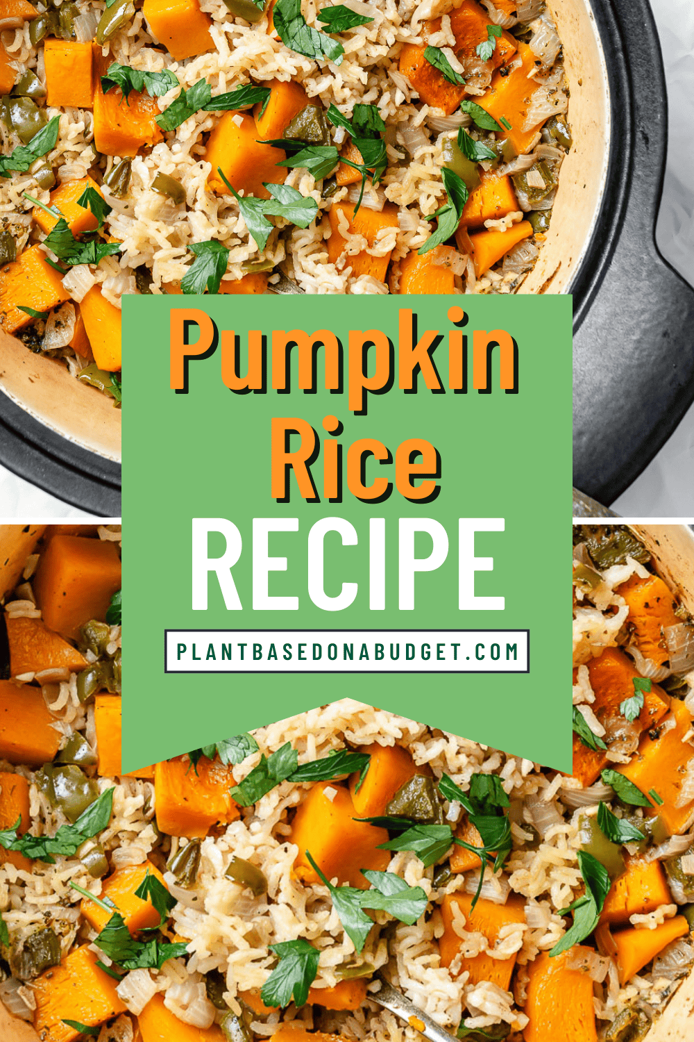Rice Rice Plant Based Easy Pumpkin Rice - Plant-Based on a Budget