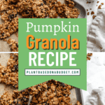 pin for Maple Pumpkin Granola