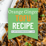 pin for The BEST Marinated Tofu (Ginger Tofu)