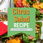 pin for Quick and Easy Citrus Salad