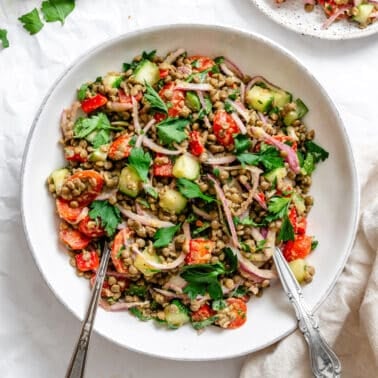 completed Easy Lentil Salad on a plate