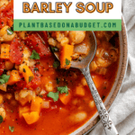 Pin for Barley and Bean Soup.