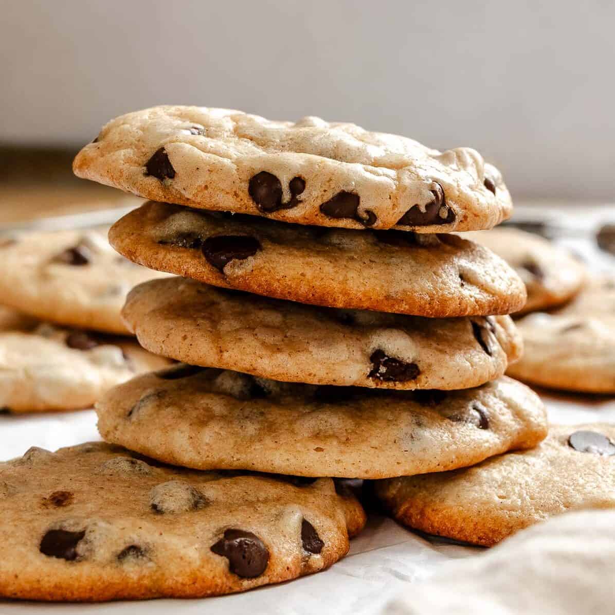 Cinnamon Chocolate Chip Cookies