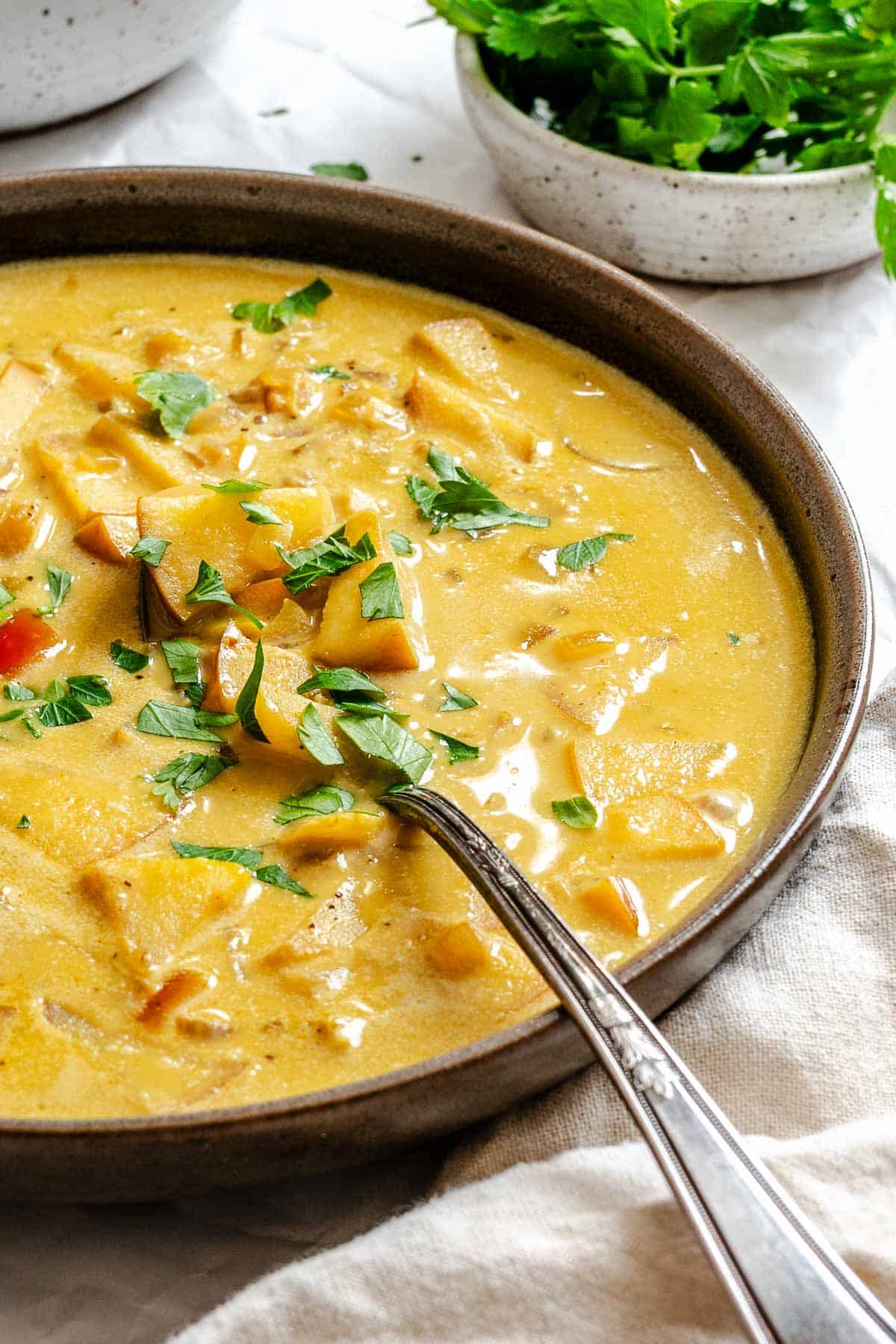 Completed Creamy Apple Curry in a plate against a white surface.