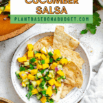 Pin for Mango Cucumber Salsa.